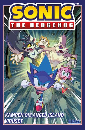 Sonic the Hedgehog 9788234720260 Ian Flynn Brukte bøker
