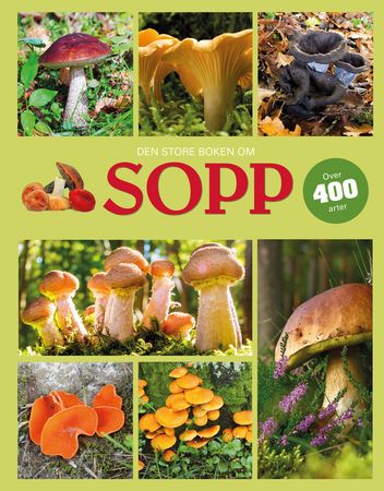 Sopp 9788231613077 Till R. Lohmeyer Ute Künkele Brukte bøker