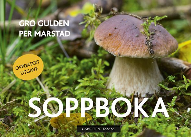 Soppboka 9788202581442 Gro Gulden Brukte bøker