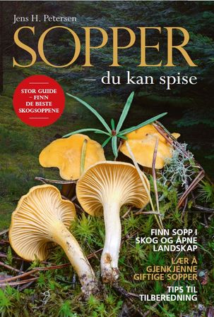 Sopper - du kan spise 9788253549491 Jens H. Petersen Brukte bøker