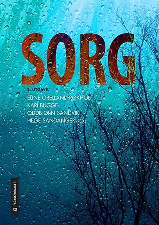 Sorg 9788245024111  Brukte bøker