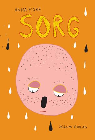 Sorg 9788256017256 Anna Fiske Brukte bøker