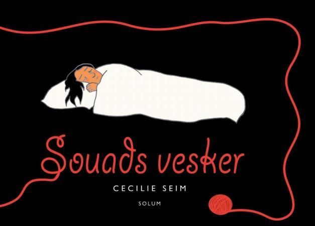 Souads vesker 9788256016631 Cecilie Seim Brukte bøker