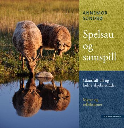 Spelsau og samspill 9788283160239 Annemor Sundbø Brukte bøker