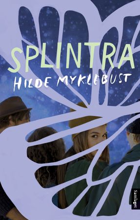 Splintra 9788234006876 Hilde Myklebust Brukte bøker