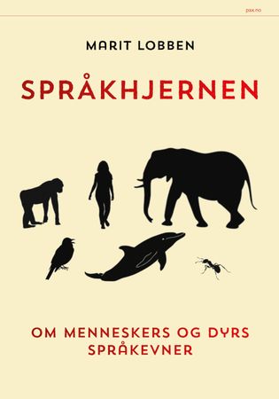 Språkhjernen 9788253043746 Marit Lobben Brukte bøker