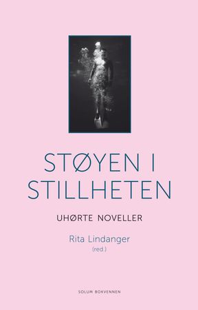 Støyen i stillheten 9788256023981  Brukte bøker