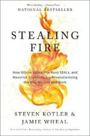 Stealing Fire 9780062429667 Steven Kotler Brukte bøker