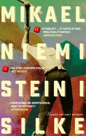 Stein i silke 9788249529773 Mikael Niemi Brukte bøker