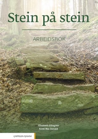Stein på stein 9788202655280   Kirsti Mac Donald Brukte bøker