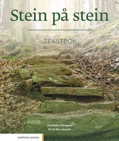 Stein på stein 9788202645502 Elisabeth Ellingsen Kirsti Mac Donald Brukte bøker