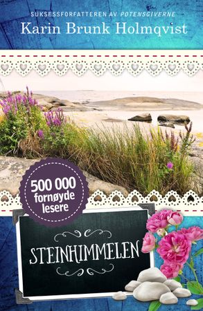 Steinhimmelen 9788282701198 Karin Brunk Holmqvist Brukte bøker