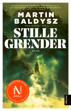 Stille grender 9788234014697 Martin Baldysz Brukte bøker