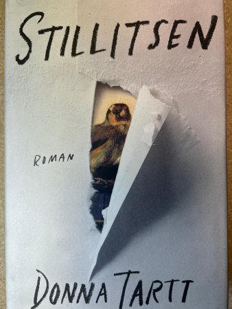 Stillitsen