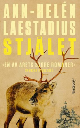 Stjålet 9788203367458 Ann-Helén Laestadius Brukte bøker