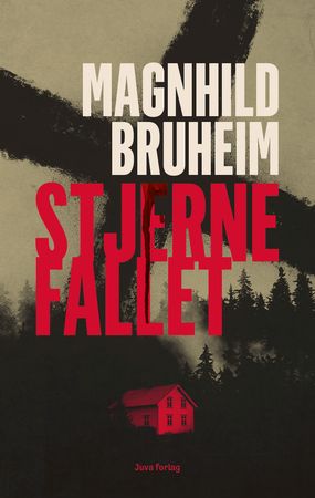 Stjernefallet 9788230363225 Magnhild Bruheim Brukte bøker
