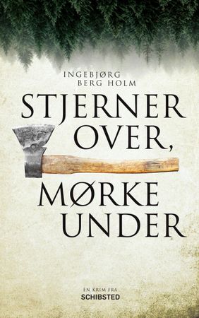 Stjerner over, mørke under 9788251684750 Ingebjørg Berg Holm Brukte bøker