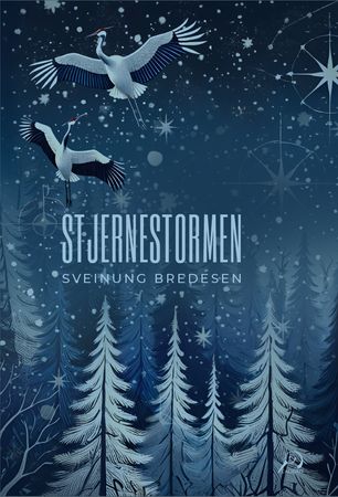 Stjernestormen 9788284672113 Sveinung Bredesen Brukte bøker