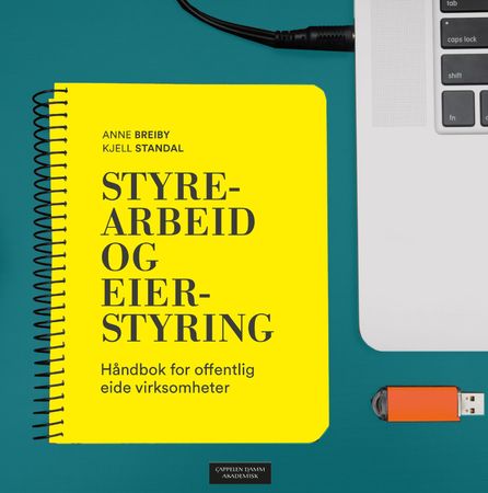 Styrearbeid og eierstyring 9788202491963 Kjell Standal Anne Breiby Brukte bøker