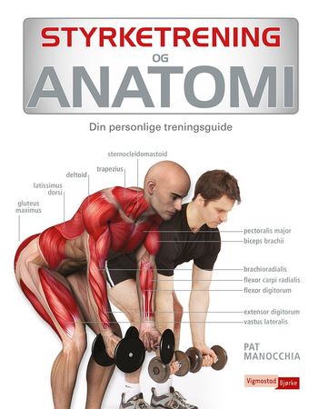 Styrketrening og anatomi 9788281736979 Pat Manocchia Brukte bøker