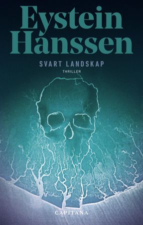 Svart landskap 9788293671046 Eystein Hanssen Brukte bøker