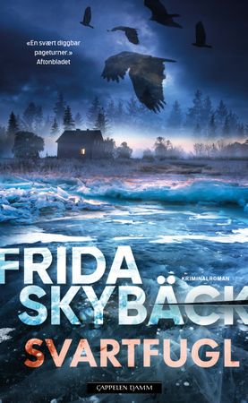 Svartfugl 9788202880774 Frida Skybäck Brukte bøker