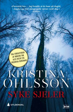 Syke sjeler 9788205558212 Kristina Ohlsson Brukte bøker