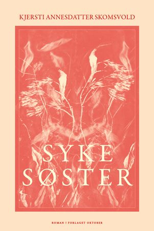 Syke søster 9788249527052 Kjersti Annesdatter Skomsvold Brukte bøker