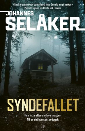 Syndefallet 9788248938729 Johannes Selåker Brukte bøker