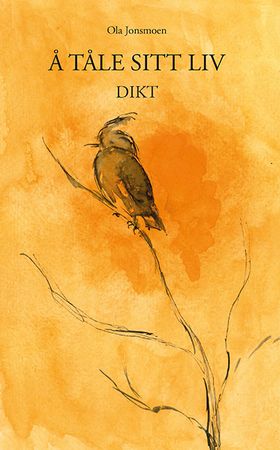 Å tåle sitt liv 9788293911067 Ola Jonsmoen Brukte bøker