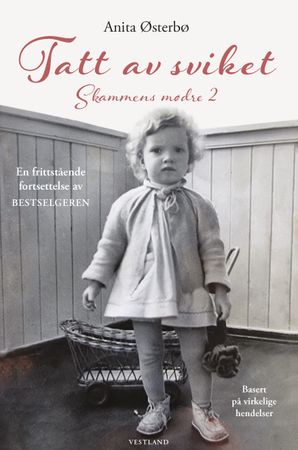 Tatt av sviket 9788269320305 Anita Østerbø Brukte bøker
