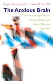 The Anxious Brain 9780393705126 Steven M. Prinz Margaret Wehrenberg Brukte bøker