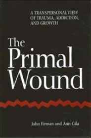 The Primal Wound 9780791432945 John Firman Ann Gila Brukte bøker
