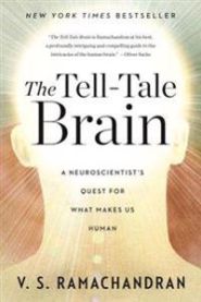 The Tell-Tale Brain 9780393340624 V. S. Ramachandran Brukte bøker