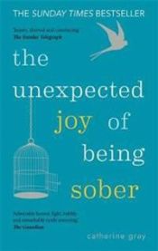 The Unexpected Joy of Being Sober 9781912023387 Catherine Gray Brukte bøker