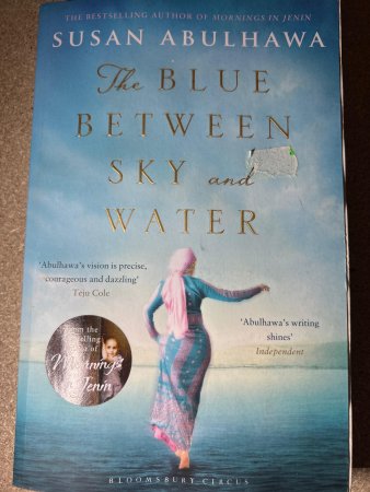 The blue between sky and water 9781408865118 Susan Abulhawa Brukte bøker