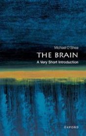 The Brain: A Very Short Introduction 9780192853929 Michael O'Shea Brukte bøker