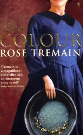 The colour 9780099425151 Rose Tremain Brukte bøker