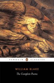 The Complete Poems 9780140422153 William Blake Alicia Ostriker Brukte bøker