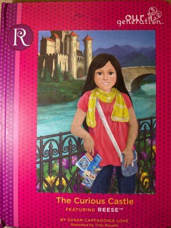 The Curious Castle 9780989183987 Susan Cappadonia Love Brukte bøker