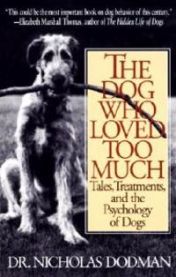 The Dog Who Loved Too Much: Tales, Treatments and the Psychology of Dogs 9780553375268 Nicholas Dodman Brukte bøker
