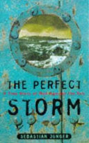 The perfect storm 9781857027204 Sebastian Junger Brukte bøker