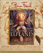 The Runes of Elfland 9780810946125 Ari Berk Brukte bøker