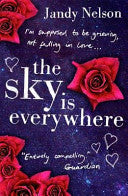 The Sky Is Everywhere 9781406328035 Jandy Nelson Brukte bøker