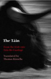 The Táin: Translated from the Irish Epic Táin Bó Cualinge 9780192803733  Brukte bøker