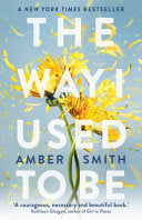 The Way I Used to Be 9780861546732 Amber Smith Brukte bøker