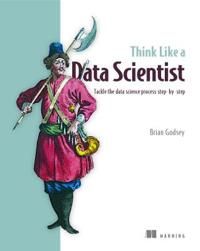 Think Like a Data Scientist 9781633430273 Brian Godsey Brukte bøker