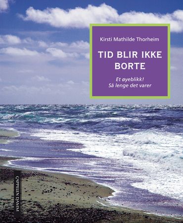 Tid blir ikke borte 9788202290191 Kirsti Mathilde Thorheim Brukte bøker