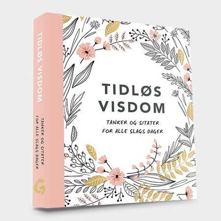 Tidløs visdom 9788247605257  Brukte bøker