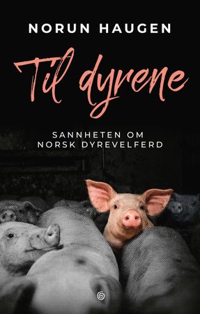 Til dyrene 9788248931416 Norun Haugen Brukte bøker
